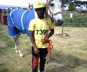 Uitmergelende Perde-uithouwedren